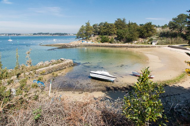 0180Ile aux Moines.jpg - SONY DSC